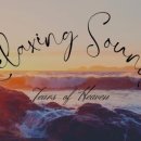 봄이네쭈꾸미앤명태조림 이미지