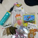 풍선파티 | 다이소 젠더리빌 DIY 풍선 파티 후기 (재사용 가능)