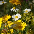 나라행정사사무소 이미지