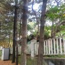 회룡로 | 의정부 쿠지샵 허위정보 낚임 허탕후기