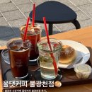 스테이증산 | 불광천 신상카페 올댓커피 불광천점 후기, 벚꽃 시즌 가기 좋은 카페