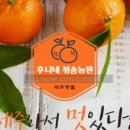 제주후니네 이미지