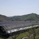 송동농장 이미지