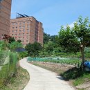 쌍계1교 이미지