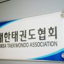 대한태권도 이미지