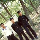 용석 Daum카페