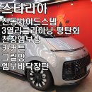 정빈카 | 전동사이드스텝 3열 리클라이닝평탄화 천장엠보싱 카커튼 그릴망 엠보바닥장판 시공 대전 아산 청주...