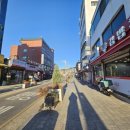 맘김밥천국 이미지