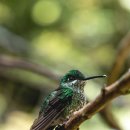 바로동물병원 이미지