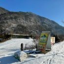 정선아기동물농장 이미지