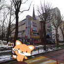 우성스포츠센터 보석사우나 | 강남 일원동 우성보석사우나 목욕탕