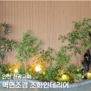 천광 | 벽면조경 인조나무 조화 화분 정원 인천 천광교회 조화 인테리어 후기(1부)
