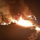 양계장닭한마리 이미지