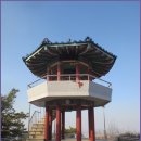 초록숲