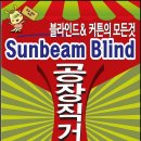 디아이에스 네이버블로그