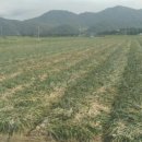 선이네농장 이미지