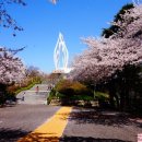 주식회사 군산박대 | 군산 2박3일 벚꽃여행 여행코스 일정 &amp; 경비