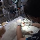 행복이 가득한 터 이미지