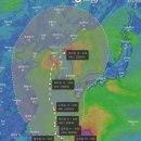 엠제이스토어