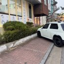 일산로803번길 | 일산 대화동 킨텍스애견동반카페 데이트 추천 남표카페