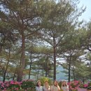 농촌목장 이미지