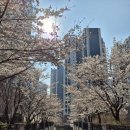 뉴제일공인중개사사무소 이미지