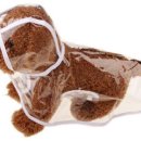 러블리 강아지 이미지