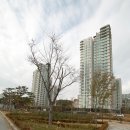 연기면_세종보 입구 이미지