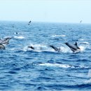 [일원1] 문학 창작 이미지