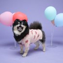 내손으로 만드는 우리옷 이미지