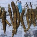 비전농장 이미지