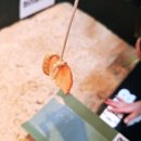 풍뎅이 별관 | 서울 아이랑 가볼만한 곳, 영등포 YDP곤충 체험학습관 주말 방문 후기