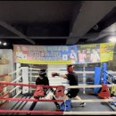 세종 익사이팅 복싱 이미지