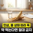 인삼의 올바른 이해와 섭취 기준 건강한 일상을 위한 활용법