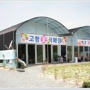 고령꽃집 이미지