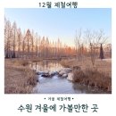 효심마켓 | 수원 겨울에 가볼만한 곳 BEST 10