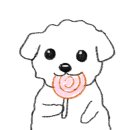 카페프란