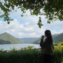 천상의 나무 | [충북 가을 여행] 천상의정원 수생식물학습원 (내돈내산)