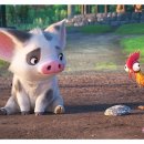 모아나(moana) 이미지