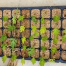 미암초등학교 이미지