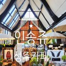 인송쥬 | 성주 카페 추천 초록 감성 가득한 인송쥬: 분위기 ㅣ포토존