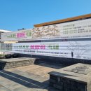 제주인장례 | 2025 서귀포 봄맞이 축제 서복공원 꽃나무 나눔 공연 음식 체험