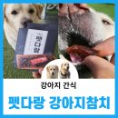 다온펫푸드 이미지