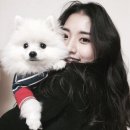 정다빈 카카오 검색결과