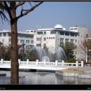 조선대학교 이미지