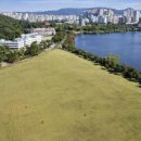 서호잔디광장 이미지