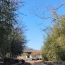 문학&생명관 이미지