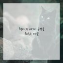 기초 수채화 기법부터 작품까지 이미지