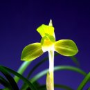 오늘하루 이미지