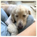 아이조아요양보호소 대구점 이미지